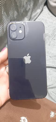 iphone 12 black