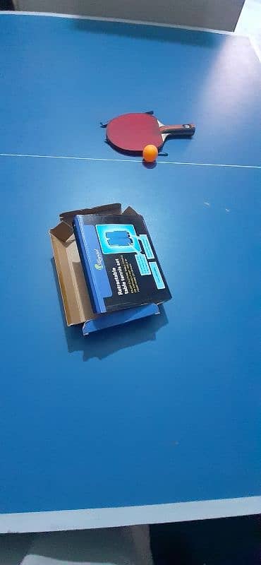 table tennis 1