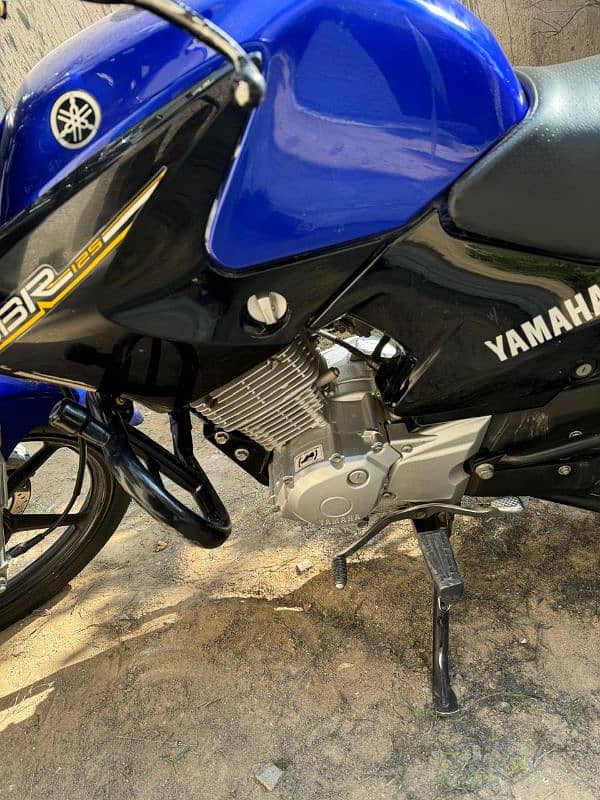 Yamaha YBR 125cc 2022 3