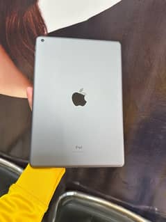 iPad