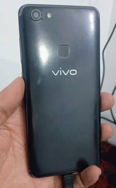 vivo