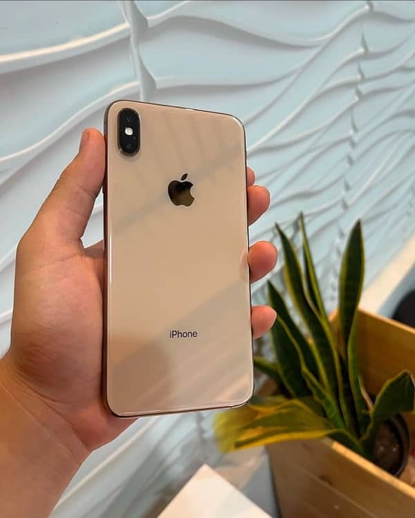 iPhone XS Max 256 GB PTA Approved 0