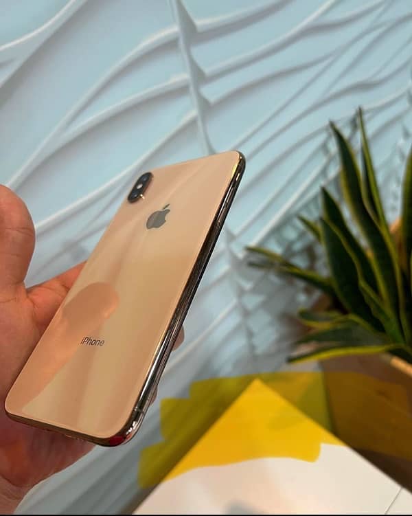 iPhone XS Max 256 GB PTA Approved 4