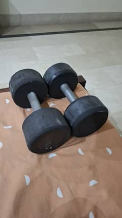 6kg dumbbells