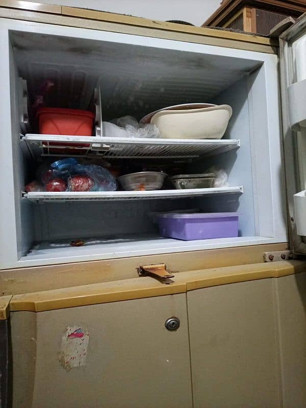 PEL refrigerator 4