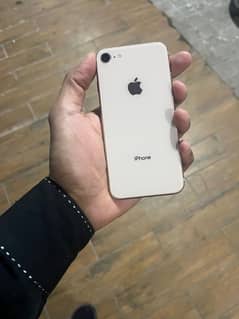 iPhone 8 Pta proved