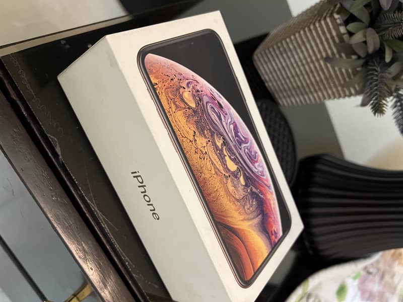 IPhone XS PTA Approved 64GB 3