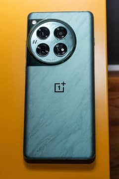 OnePlus 12  approved