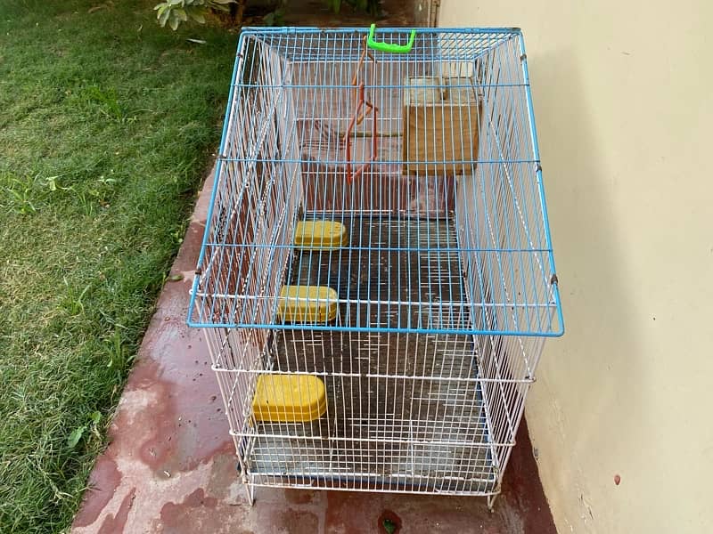 Cage For birds 2