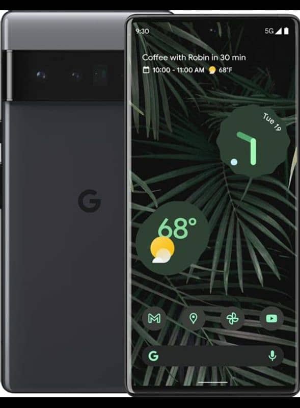 google 6 pro 1