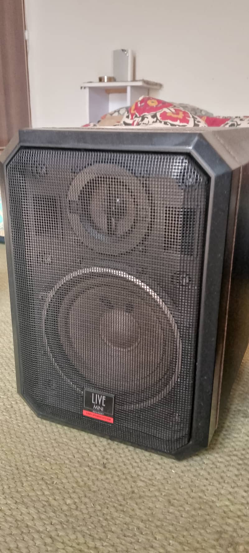 Sharp 2 way Bookshelf speakers 1