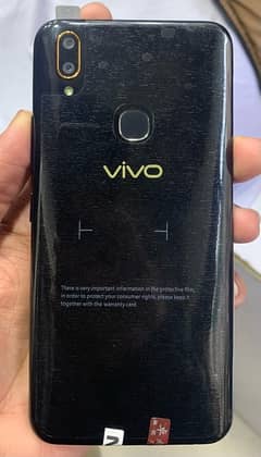 Vivo