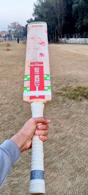 ENGLISH WILLOW HARD BALL CRICKET BAT || GRAY NICHOLAS 5