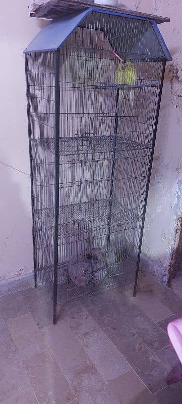 cage for sale 0