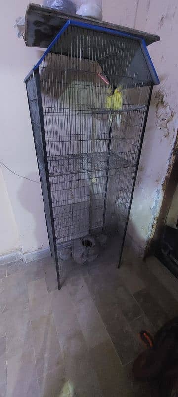 cage for sale 2