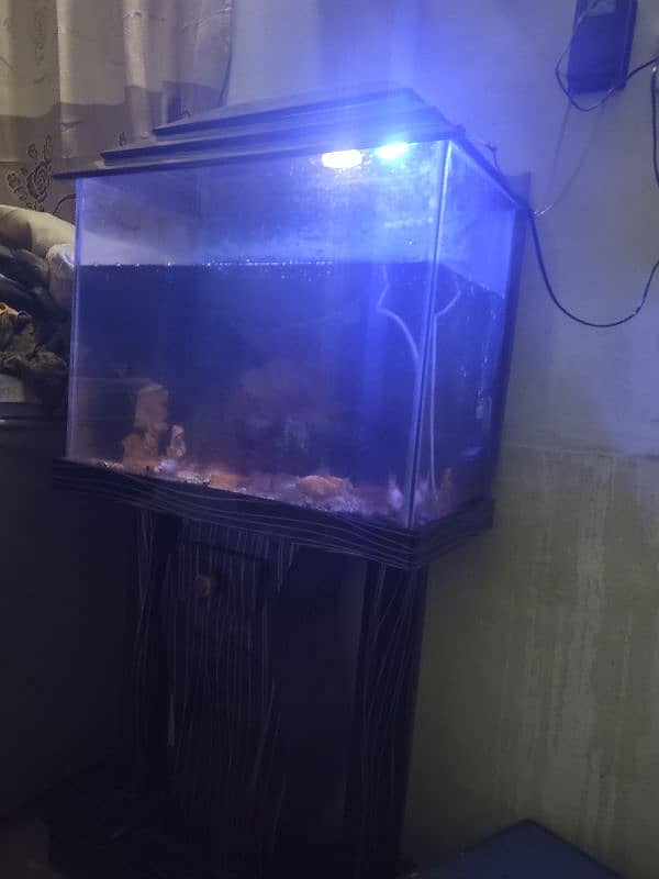 aquarium with stand and fish 1