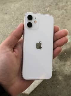 iphone 12 mini