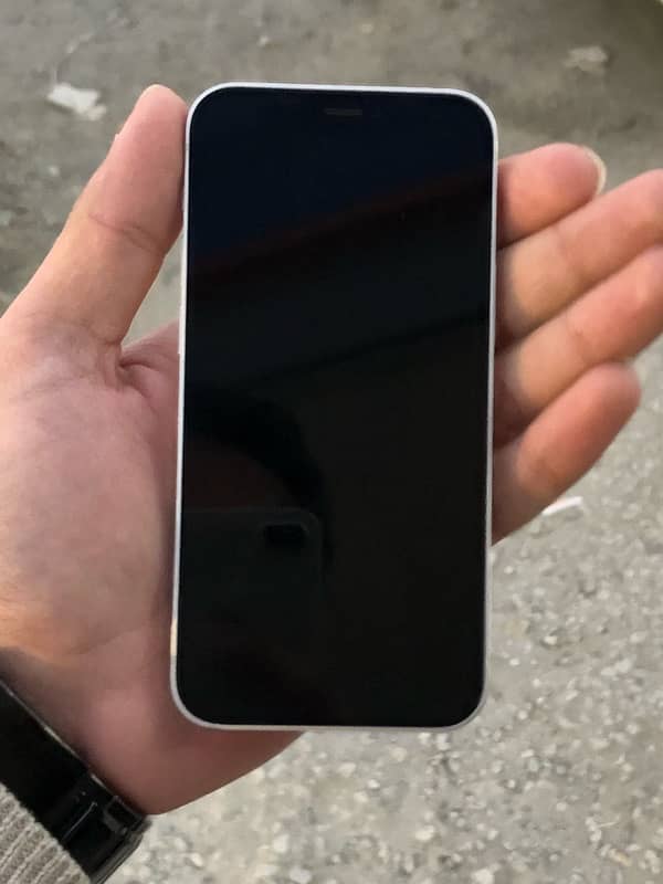 iphone 12 mini 1