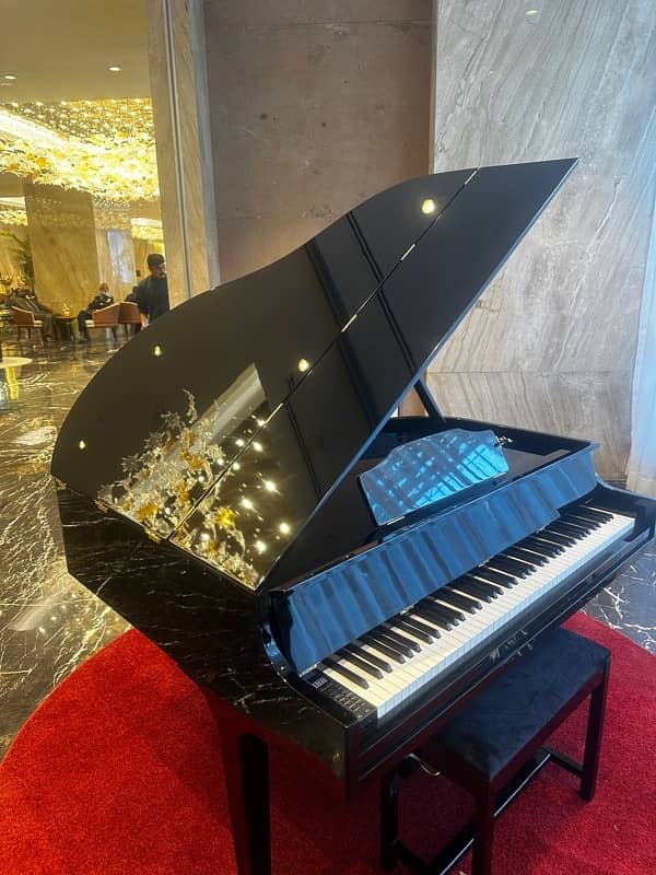 Bassclef Grand Piano / grand piano / piano / pool table / keyboards 9