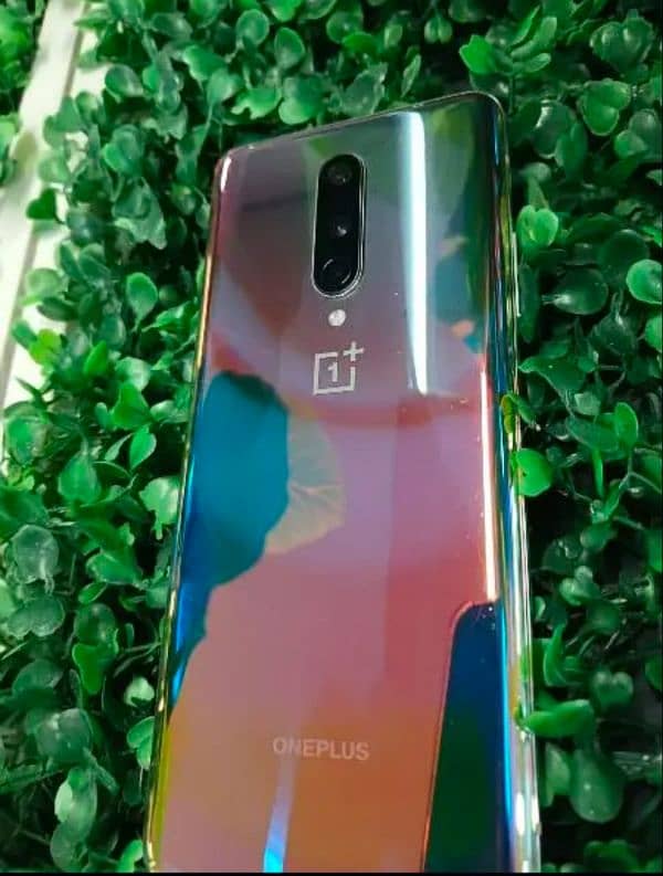 Oneplus 8 6