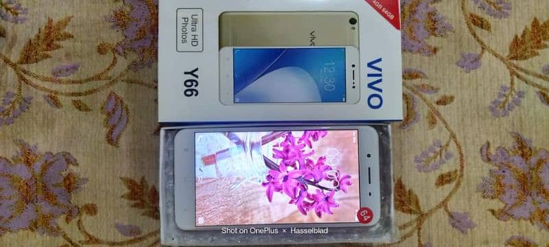 Vivo y66 4gb 64gb 10/9.9 lush phone pta approved 7