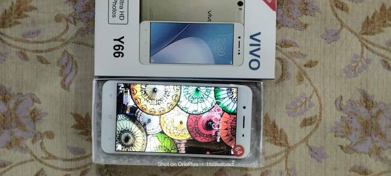 Vivo y66 4gb 64gb 10/9.9 lush phone pta approved 8