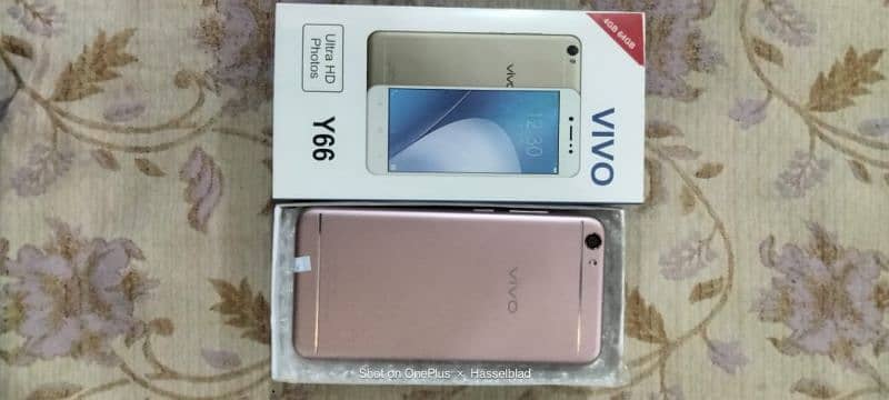 Vivo y66 4gb 64gb 10/9.9 lush phone pta approved 9