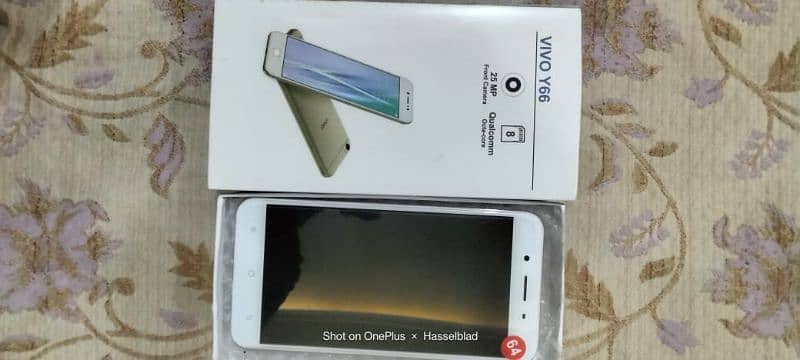 Vivo y66 4gb 64gb 10/9.9 lush phone pta approved 10