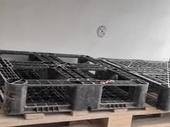 Plastic Pallets