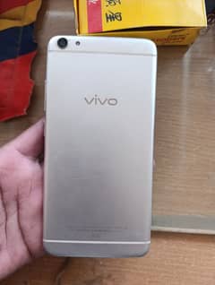 Vivo