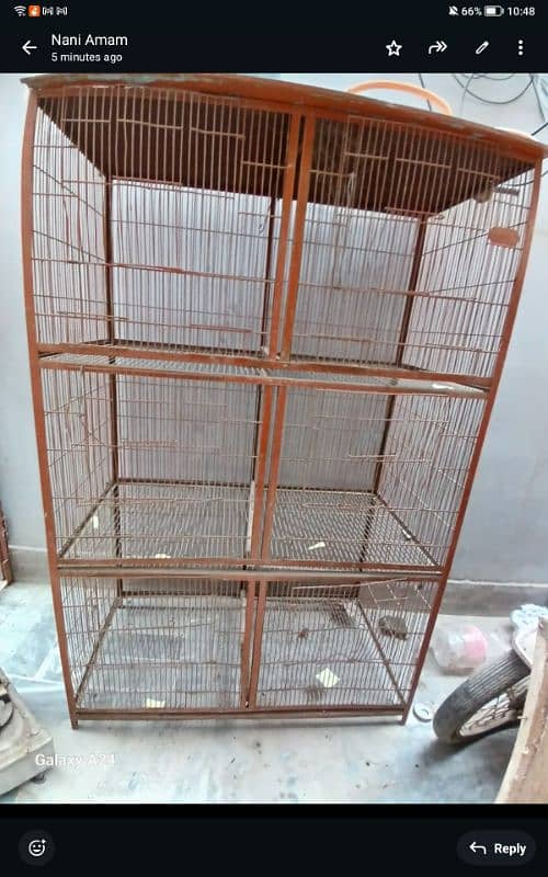 bird cage final price 5 thousand 2