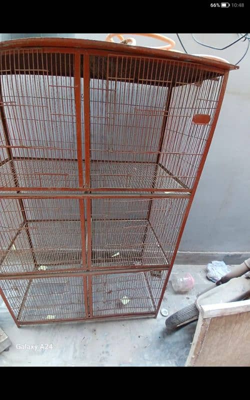 bird cage final price 5 thousand 3