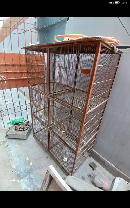 bird cage final price 5 thousand 4