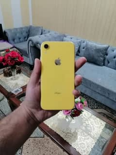 iphone xr 64 gb non pta waterpack