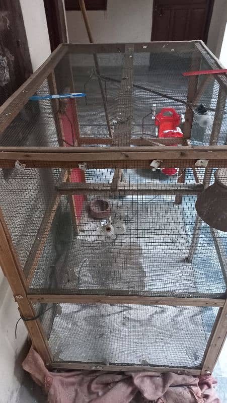 Cage for sell 3