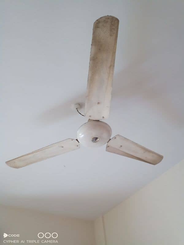 selling fan 2