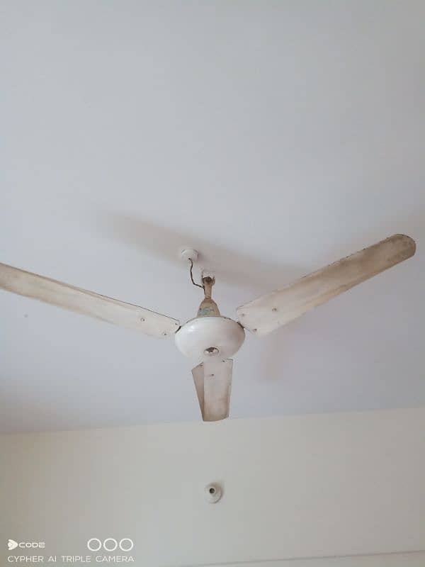 selling fan 3