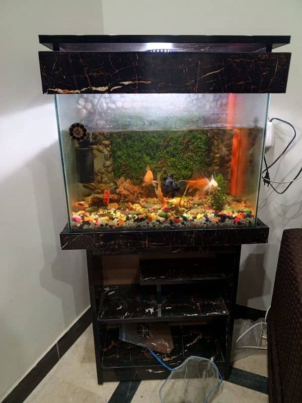 M 3D WITH WOODEN TABLE AND 5 FISHES 2