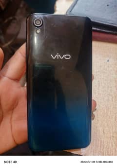 Vivo