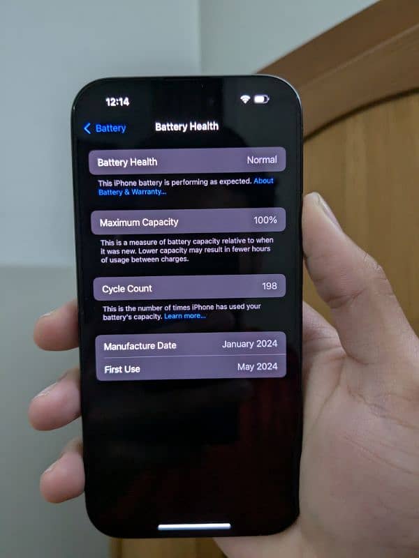 iPhone 15 Pro 100% Health 1