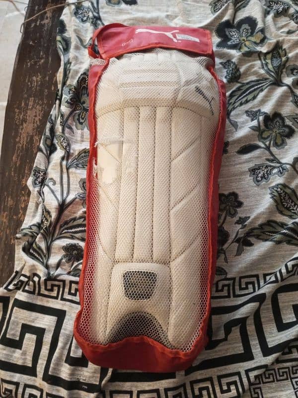 cricket pads orignal 0