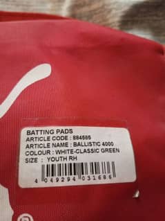 cricket pads orignal