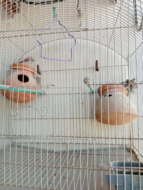 Bird cage with 2 mutki 1