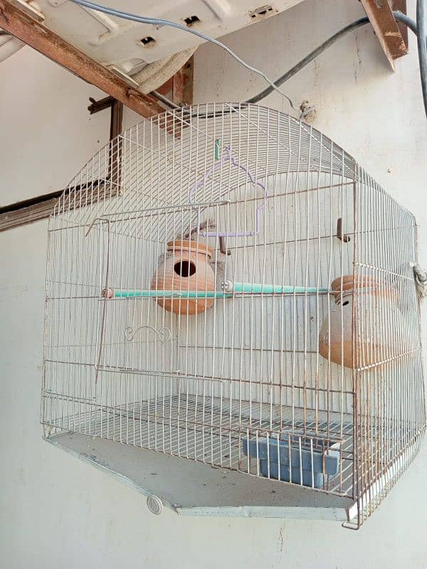 Bird cage with 2 mutki 2