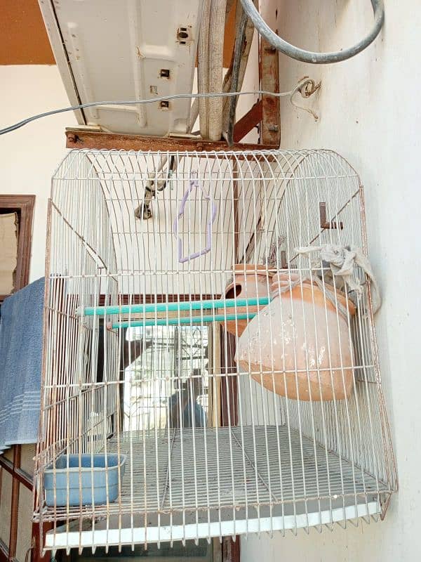 Bird cage with 2 mutki 4