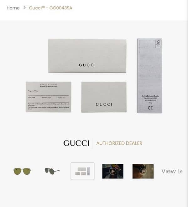 Gucci Sunglasses 3