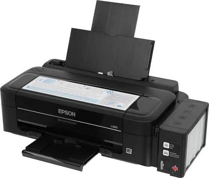 Epson L300 0