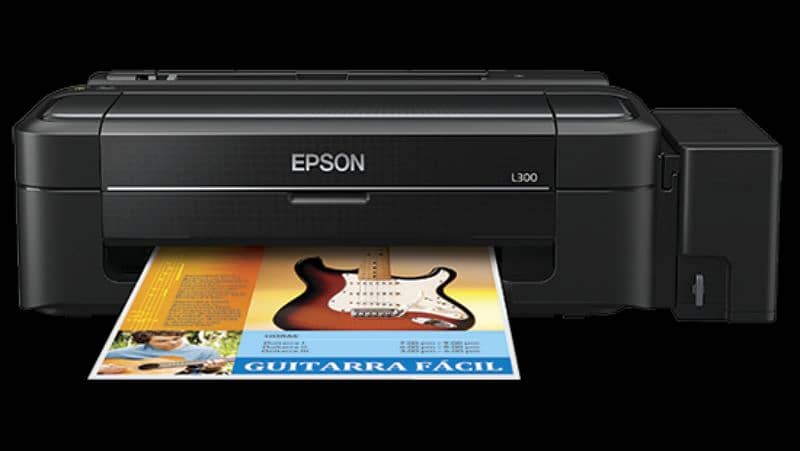 Epson L300 1