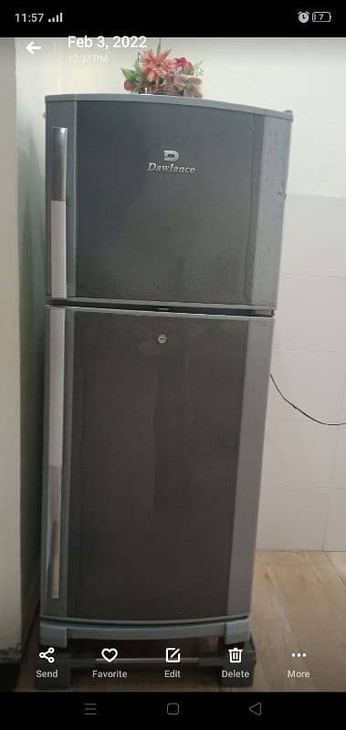 fridge 1