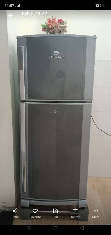 fridge 2